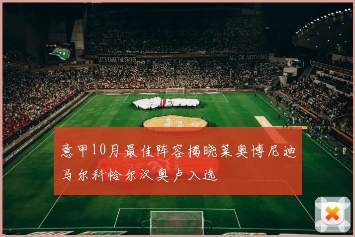 意甲10月最佳阵容揭晓莱奥博尼迪马尔科恰尔汉奥卢入选